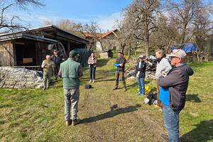 Workshop Altbirnbaum-Schnitt, 23.03.2026, Anthering, Salzburg